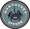 Nantucket Spider